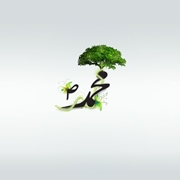 green islamic wallpaper